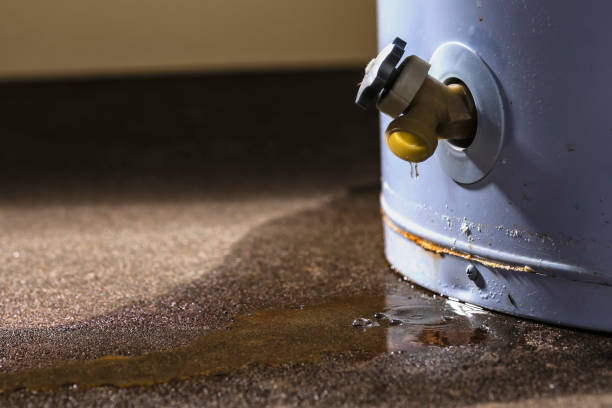 Best Water damage restoration near me  in Clyde, NY