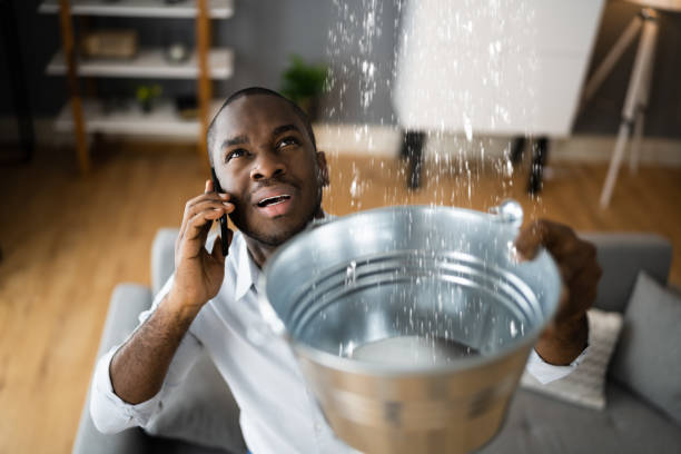 Best Professional water damage repair  in Clyde, NY