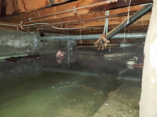 Best Flood restoration services  in Clyde, NY