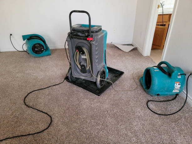 Best Local water damage restoration  in Clyde, NY