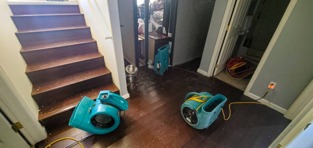 Best Water damage mitigation services  in Clyde, NY