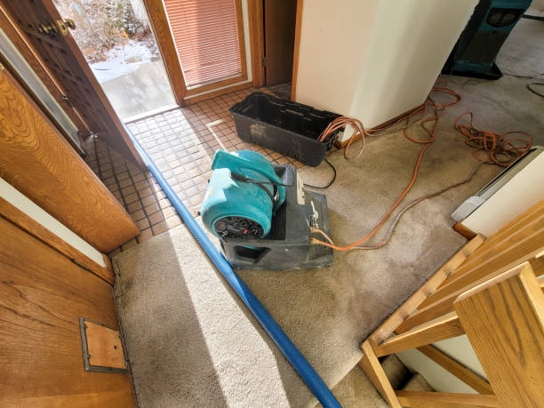 Best Water damage restoration company  in Clyde, NY
