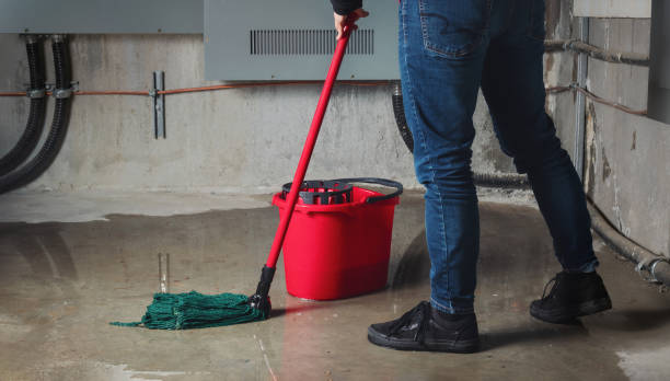 Best Carpet water damage restoration  in Clyde, NY