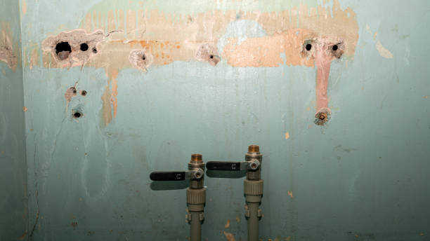 Best Ceiling water damage repair  in Clyde, NY